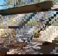 Joonjoo Botanical Trail - Accommodation Gold Coast