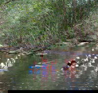 Kerewong State Forest - Accommodation Gold Coast