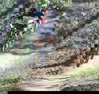 Kidsons Cycles - Accommodation Gold Coast