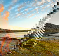 Killalea Reserve - Accommodation Gold Coast