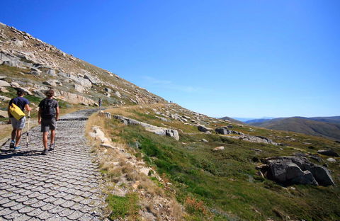 Kosciuszko Walk - Thredbo To Mount Kosciuszko - Accommodation Gold Coast 0