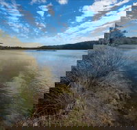 Lake Innes Nature Reserve - 1 Gold Coast