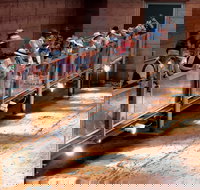 Lark Quarry Conservation Park - 1 Gold Coast