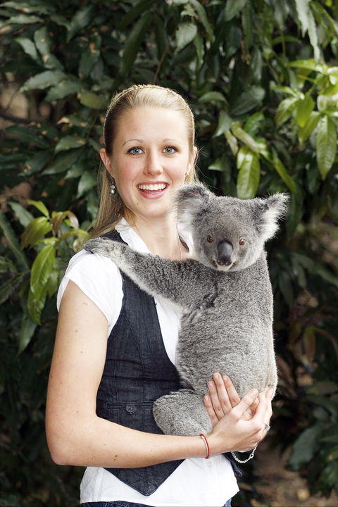 Lone Pine Koala Sanctuary - Accommodation Gold Coast 1