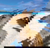 Lucky Bay - Accommodation Gold Coast