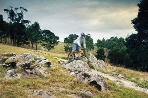 Lysterfield Park - Accommodation Gold Coast 1