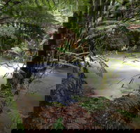 Marriotts Falls and Junee Caves - Accommodation Gold Coast