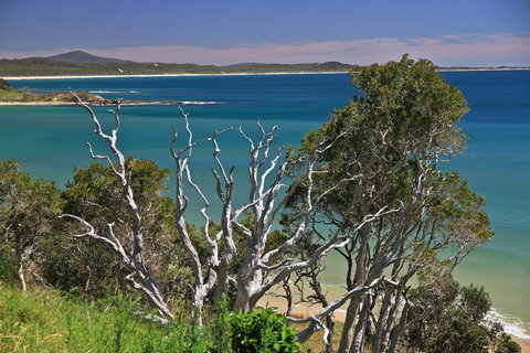 Minnie Water - Accommodation Gold Coast 2