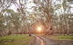 Nyah Vinifera Park - thumb 1