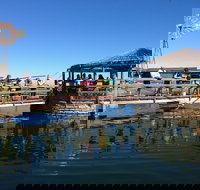 Ocean Park Aquarium - Accommodation Gold Coast