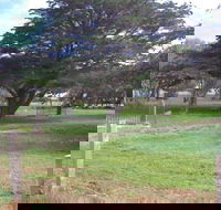 Old Cemetery Kingscote - Accommodation Gold Coast