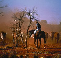 Outback Heritage and Coal Adventure - Accommodation Gold Coast
