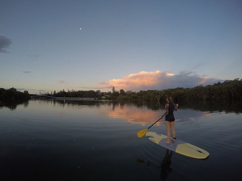 Paddleboard At Back Creek South West Rocks - Accommodation Gold Coast 1