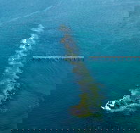 Port Noarlunga Reef Sanctuary Zone - Encounter Marine Park - Accommodation Gold Coast