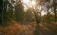 Raysource Road - thumb 1