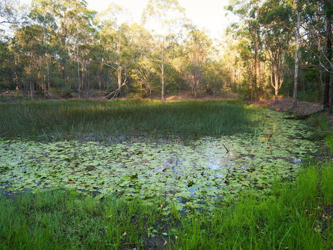 Raysource Road - Accommodation Gold Coast 2