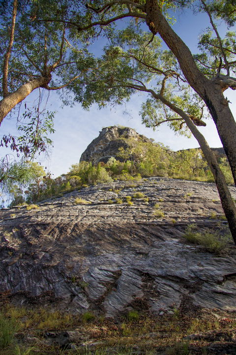 Salvator Rosa, Carnarvon National Park - 1 Gold Coast 1
