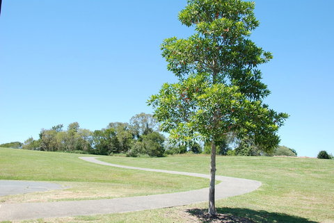 Samford Valley Rail Trail - Accommodation Gold Coast 2