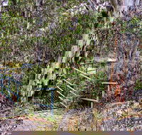Sawpit Walking Track - Accommodation Gold Coast