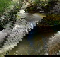 Second Ponds Creek Walk - Accommodation Gold Coast