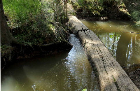 Second Ponds Creek Walk - Accommodation Gold Coast 0