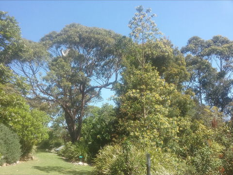 Shoalhaven Heads Native Botanic Garden - Gold Coast 4U 1