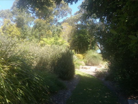 Shoalhaven Heads Native Botanic Garden - Gold Coast 4U 2