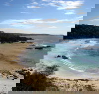 Snorkelling Mystery Bay - Accommodation Gold Coast