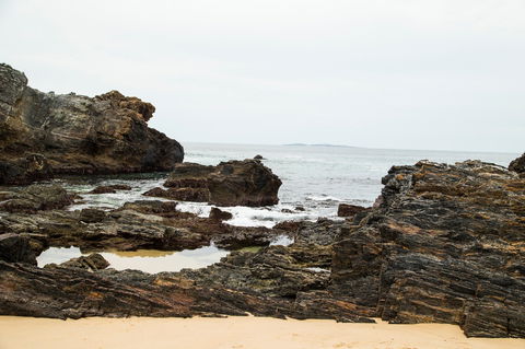 Snorkelling Mystery Bay - Accommodation Gold Coast 1