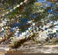 Spring Gully Conservation Park - Accommodation Gold Coast