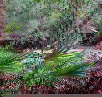 Sugar Creek Picnic Area - 1 Gold Coast