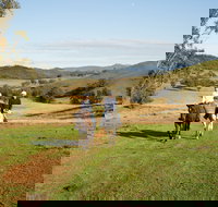 Tamworth and Kootingal Horse Riding Adventures - Accommodation Gold Coast