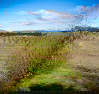 Tarago Truffles - Accommodation Gold Coast