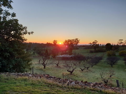 Taralee Orchards - Accommodation Gold Coast 1
