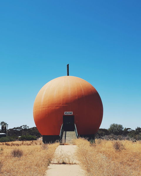 The Big Orange - Accommodation Gold Coast 0