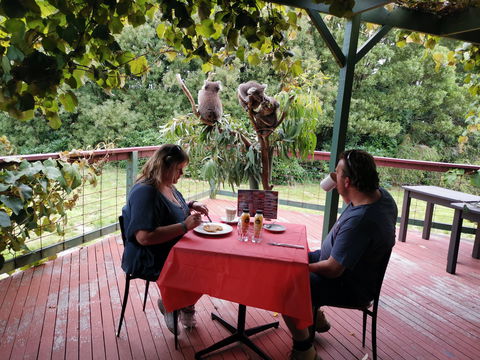 The Aussie Stop Offering Breakfast With Koalas - Accommodation Gold Coast 0