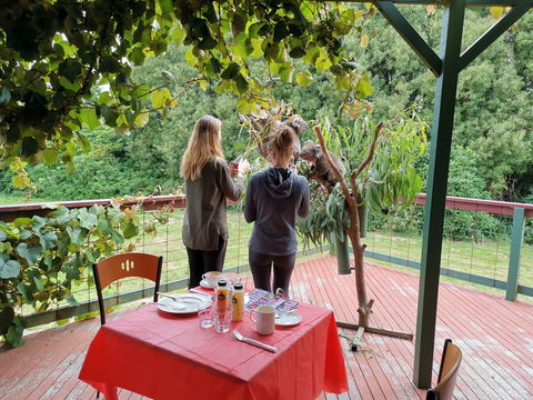 The Aussie Stop Offering Breakfast With Koalas - Accommodation Gold Coast 2