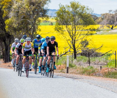 The West Side Story - Avon River Cycle Trail - Accommodation Gold Coast 1