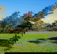 Tunks Hill picnic area - Accommodation Gold Coast