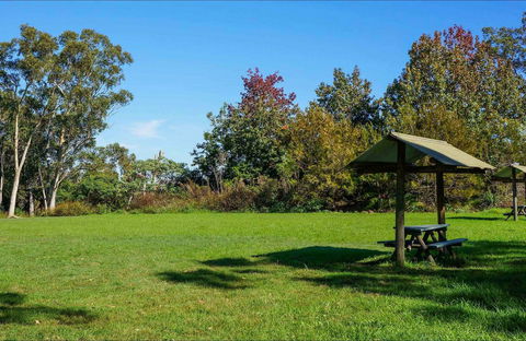 Tunks Hill Picnic Area - 1 Gold Coast 0