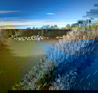 Weir View walking track