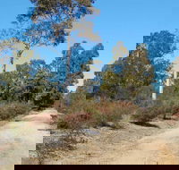 Werakata National Park - Accommodation Gold Coast