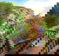 Woody Island Nature Reserve - Accommodation Gold Coast