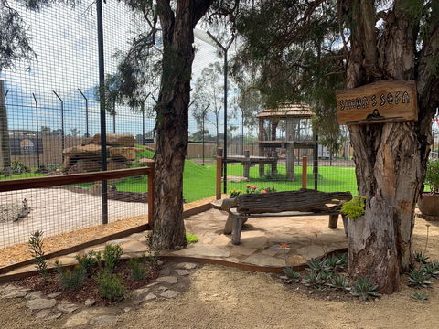 Zambi Wildlife Retreat - Accommodation Gold Coast 1