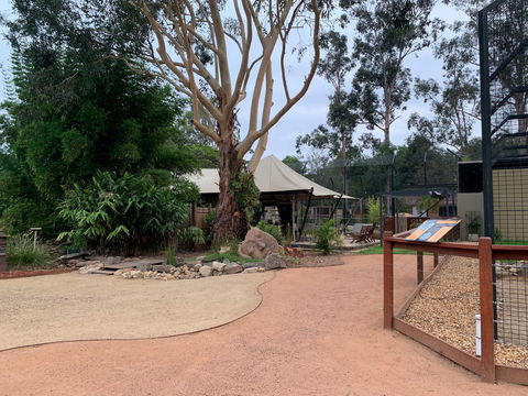 Zambi Wildlife Retreat - Accommodation Gold Coast 2