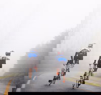 7 Peaks Ride - Lake Mountain - Accommodation Gold Coast