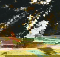 Aberdeen Golf Club - Accommodation Gold Coast