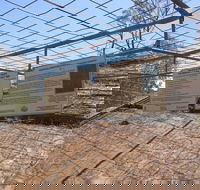 Aboriginal Carvings - Accommodation Gold Coast