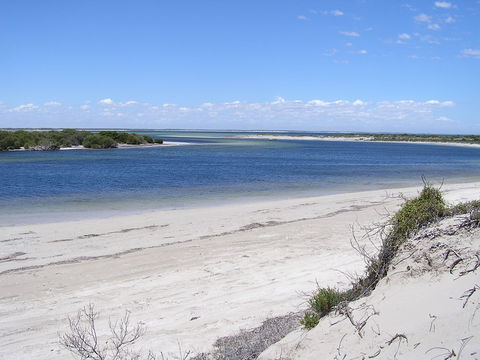 Acraman Creek Conservation Park - Accommodation Gold Coast 0