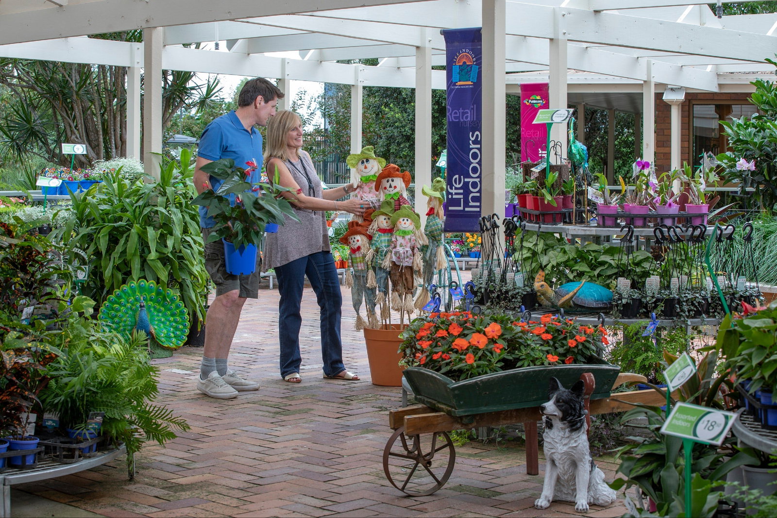 Adare QLD 1 Gold Coast